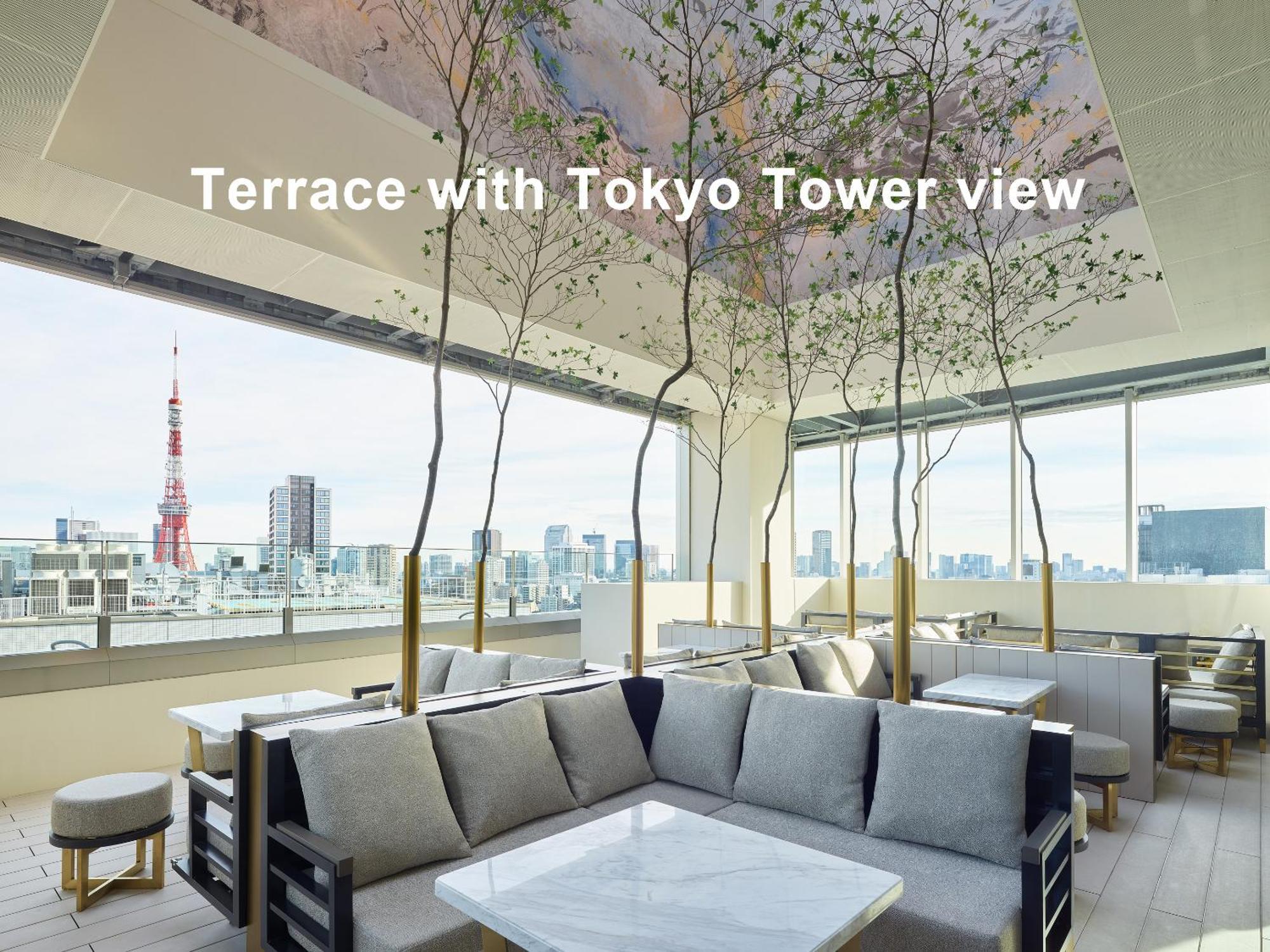 Mitsui Garden Hotel Roppongi Tokyo Premier Esterno foto Terrace with Tokyo Tower view